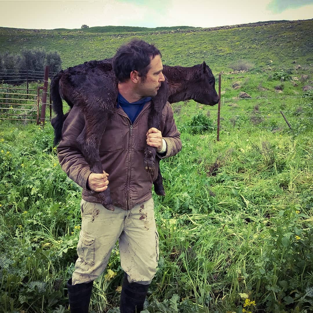 וואגיו וחיות אחרות